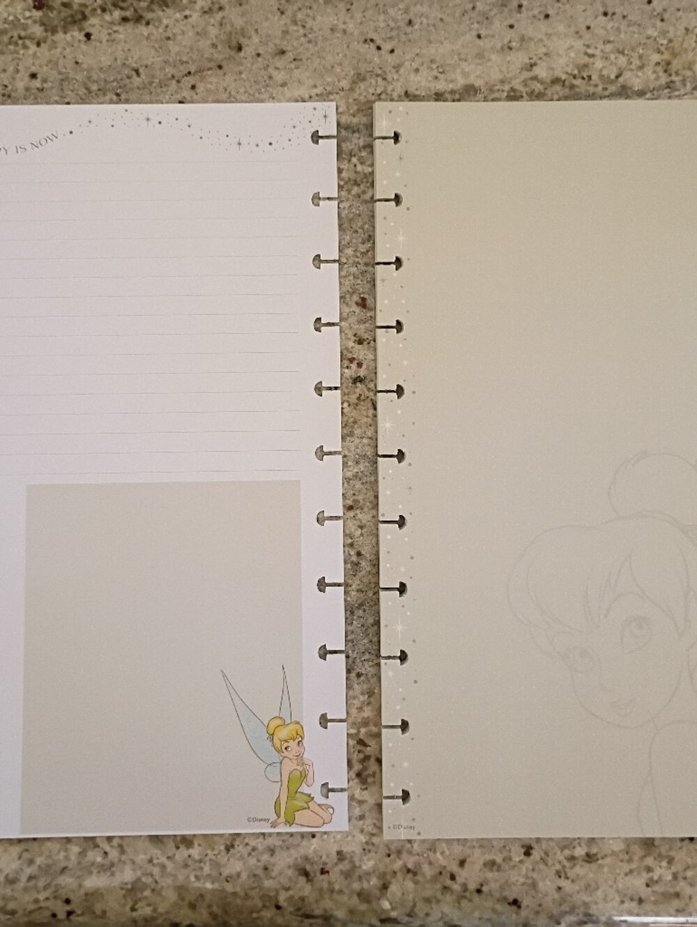 Disney Tinkerbell Happy Planner Note Paper Only *** Final Price *** - Picture 2 of 5